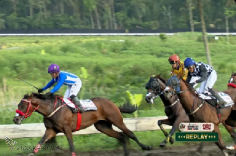 Saga Serumpun tampil sebagai juara di kelas utama Kejuaraan Indonesia's Horse Racing (IHR) Piala Mangkunegaran & Triple Crown Serie 2 2026
