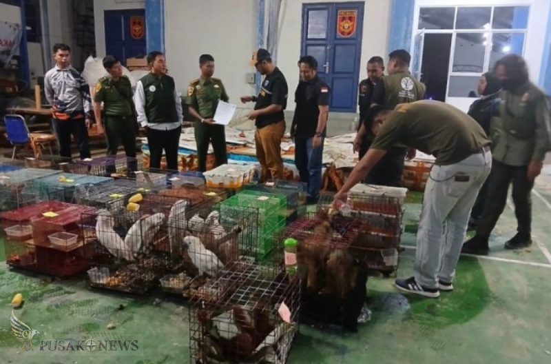 Balai Penegakan Hukum (Gakkum) Kehutanan Wilayah Sumatera resmi melimpahkan tersangka dan barang bukti kasus penyelundupan ratusan satwa liar dilindungi lintas negara ke Kejaksaan Negeri Aceh Timur, Kamis (9/4/2026)