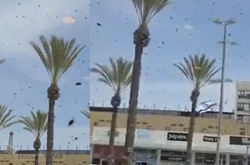 Ribuan Lebah Penuhi Langit Tel Aviv, Picu Kekhawatiran Pertanda Buruk Seperti di Alkitab.
©PusakoNews.com/red