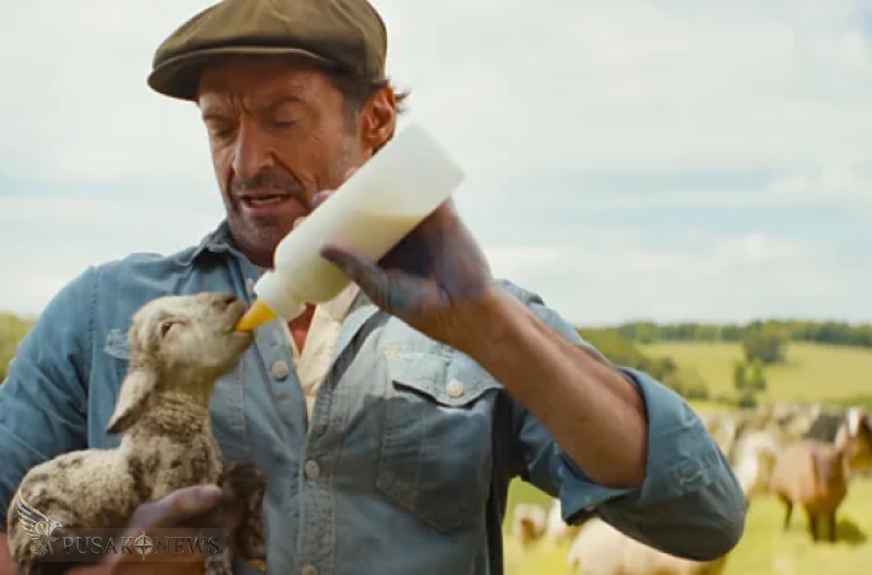 The Sheep Detectives