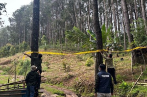 Pengusaha di Bone Diduga Alihfungsikan Kawasan Hutan untuk Peternakan Ayam, Terancam Hukuman 10 Tahun Penjara