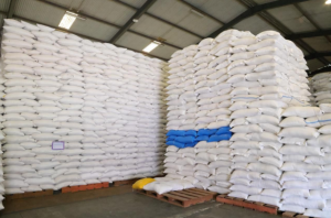 Stok Melimpah! RI Ekspor Beras ke Arab Saudi Sekaligus Kirim Bantuan 10.000 Ton ke Palestina