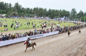 Event Pacu Kudo Padang Pariaman 2026 Dorong Ekonomi Lokal dan Antusiasme Wisata Keluarga