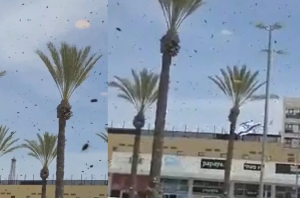 Viral! Kawanan Lebah Serbu Tel Aviv, Dikaitkan dengan Tanda-Tanda di Alkitab