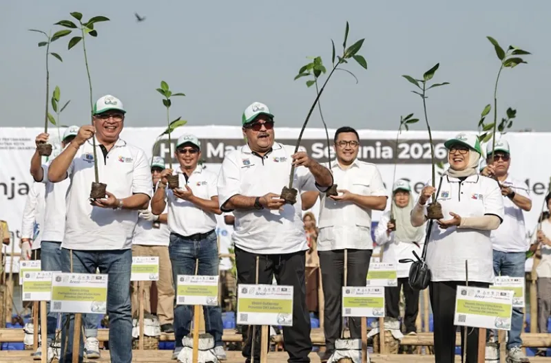 Wakil Gubernur DKI Jakarta, Rano Karno menunjukkan bibit mangrove yang akan ditanam di Hutan Produksi Angke Kapuk