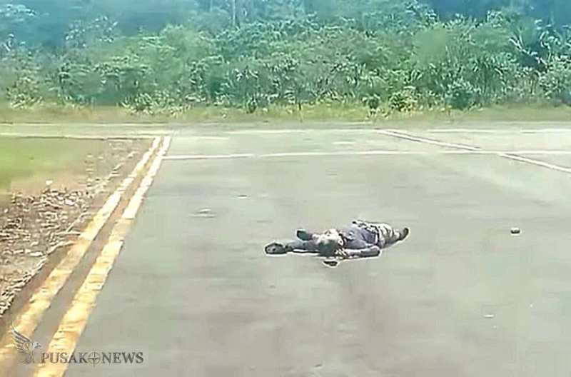 KKB Habisi Pilot dan Co-Pilot Smart Aviation PK-SNR di Boven Digoel