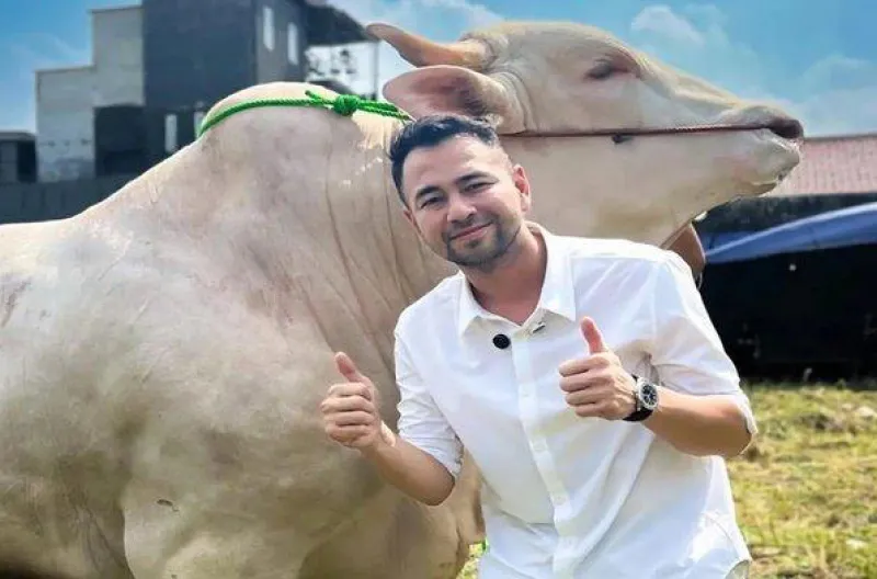 Jelang Iduladha 2026, Irfan Hakim Banjir Order Kurban dari Pejabat dan Artis