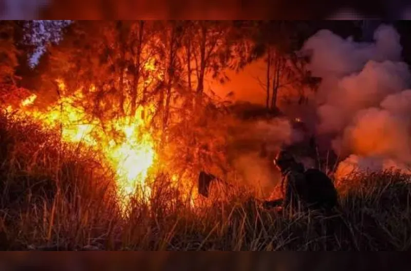 Kabut Asap Karhutla Ganggu Penerbangan, 40 Jadwal Dibatalkan pada 22–25 Oktober