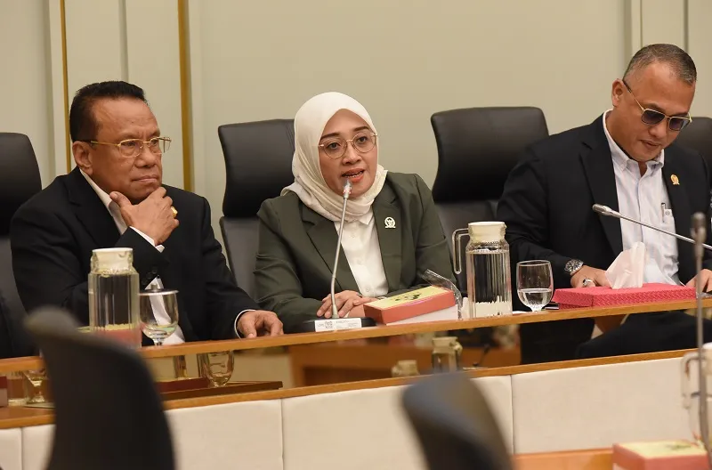 Anggota Komisi IV DPR RI, Hindun Anisah
