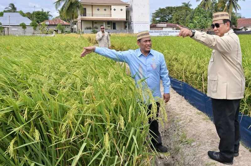 Presiden Prabowo Subianto didampingi Menteri Pertanian Andi Amran Sulaiman meninjau Teknologi Budidaya Padi Pertanian Modern Model Advanced Agricultural System (PM-AAS) serta area Gelar Teknologi di Kabupaten Gorontalo, Provinsi Gorontalo, pada Rabu, 24 J