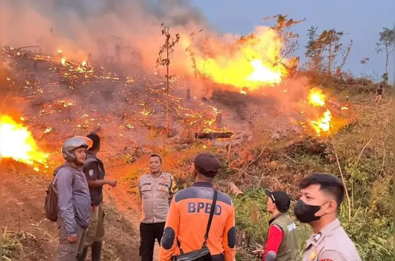 Pangkalan Bun hingga Sampit Terdampak Pembatalan Penerbangan akibat Karhutla