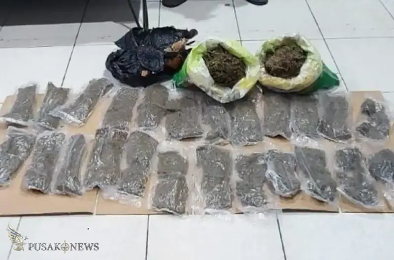 Polisi Gagalkan Penyelundupan 1 Kg Ganja via Jalur Laut ke Manokwari