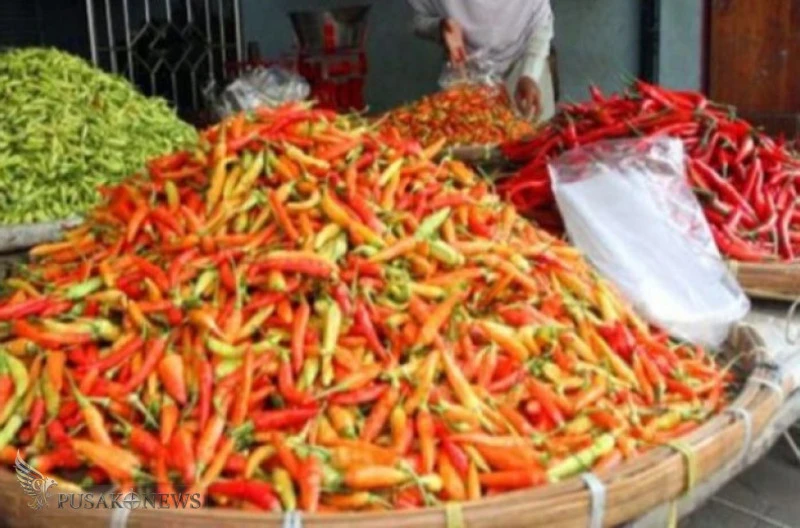Harga Cabai Rawit Naik Tajam di Pasaran Jelang Lebaran
©PusakoNews.com/red