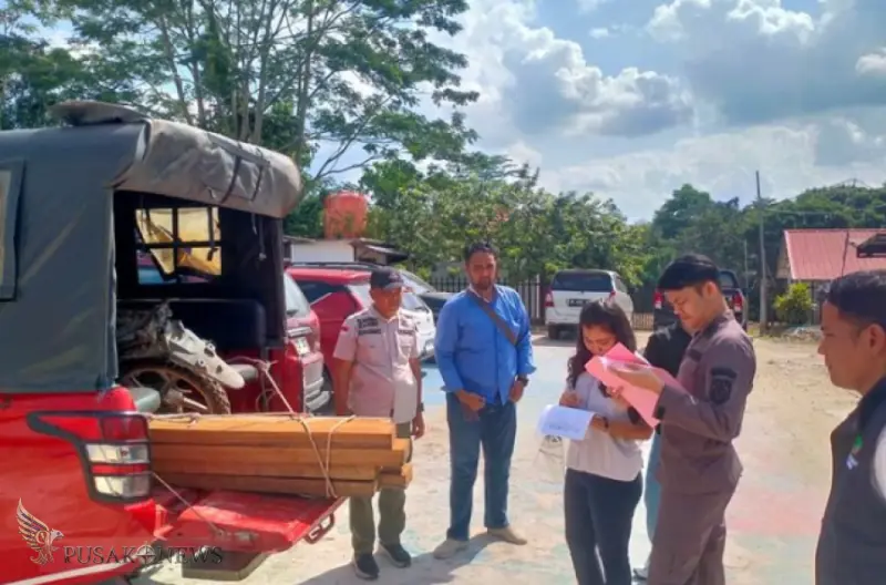 Penanganan Kasus Pembalakan Liar di Taman Nasional Bukit Tiga Puluh Masuki Tahap Penuntutan