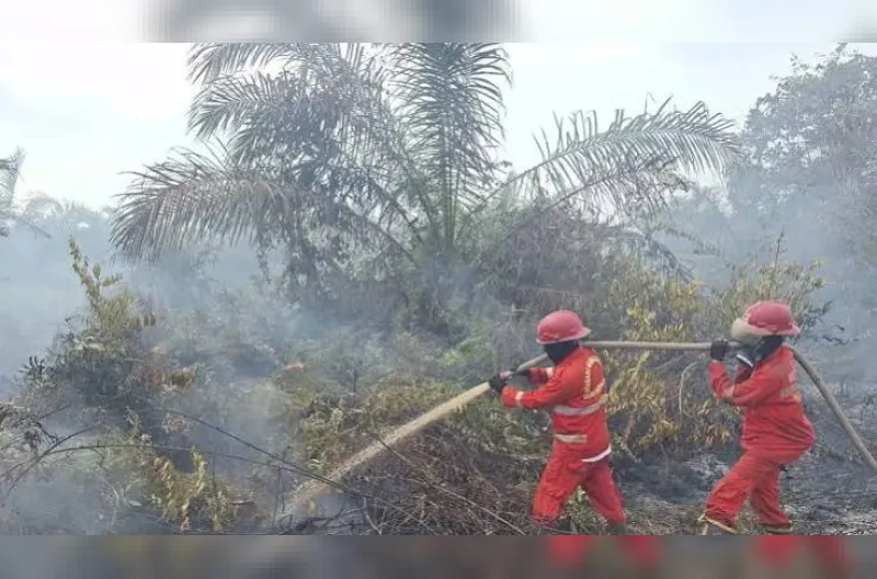 BNPB mencatat 570,08 hektare lahan masih dalam proses pemadaman dan pendinginan dari total target penanganan karhutla seluas 1.024,33 hektare hingga 19 Oktober 2026.