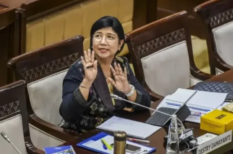 Destry Damayanti