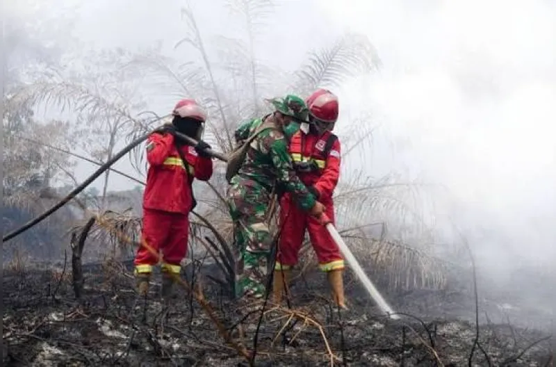 Karhutla Ganggu Penerbangan Domestik, 40 Jadwal Batal hingga 25 Oktober