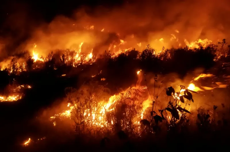 Kebakaran Kawasan Bromo Meluas, 176,20 Hektare Lahan Terdampak