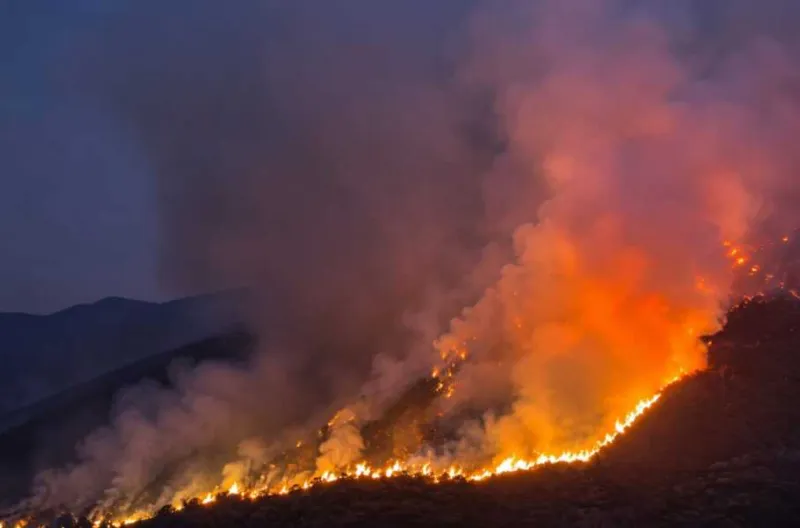 Kebakaran Gunung Bromo Makin Meluas, 176 Hektare Lahan Hangus dan Api Belum Padam