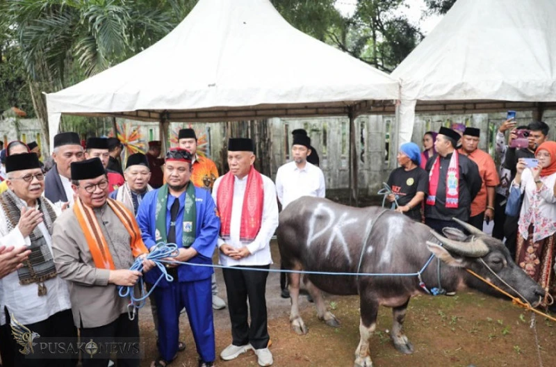 Pramono Turun Langsung! Tradisi Andilan Kebo Jadi Sorotan, 9 Kerbau Dipotong
©PusakoNews.com/red