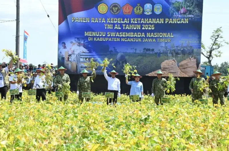 Panglima TNI dan Menteri Pertanian Panen Raya Kedelai Program Ketahanan Pangan TNI AL di Nganjuk Panglima TNI dan Menteri Pertanian Panen Raya Kedelai Program Ketahanan Pangan TNI AL di Nganjuk