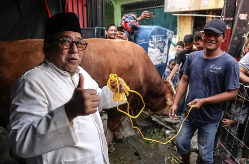 Rano Serahkan Sapi Kurban Bagi Warga Tangki