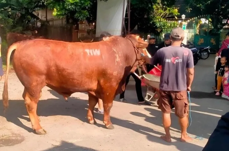Spekulasi Warganet Soal Inisial TIW