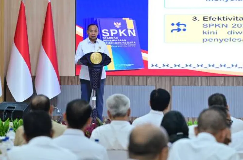 Wakil Ketua BPK, Budi Prijono