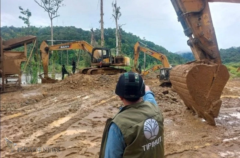 7 WNA China Ditangkap di Tambang Ilegal Nabire, 10 Alat Berat Disita