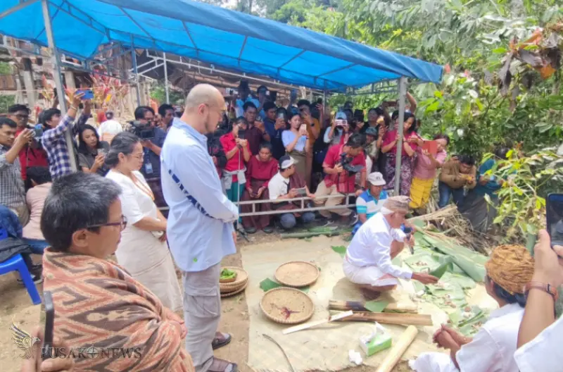 Komika Pandji Pragiwaksono didenda 1 ekor babi dan 5 dalam peradilan adat di Tongkonan Layuk Kaero, Tana Toraja, Selasa (10/2/2026)
©PusakoNews.com/Istimewa