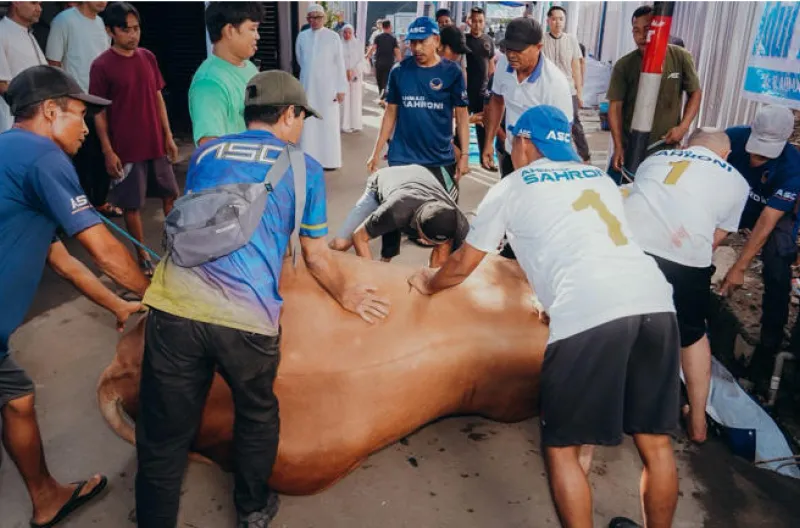 Ahmad Sahroni Tebar 38 Sapi Kurban, Puluhan Ribu Warga Jakarta Kebagian Daging Ahmad Sahroni Tebar 38 Sapi Kurban, Puluhan Ribu Warga Jakarta Kebagian Daging