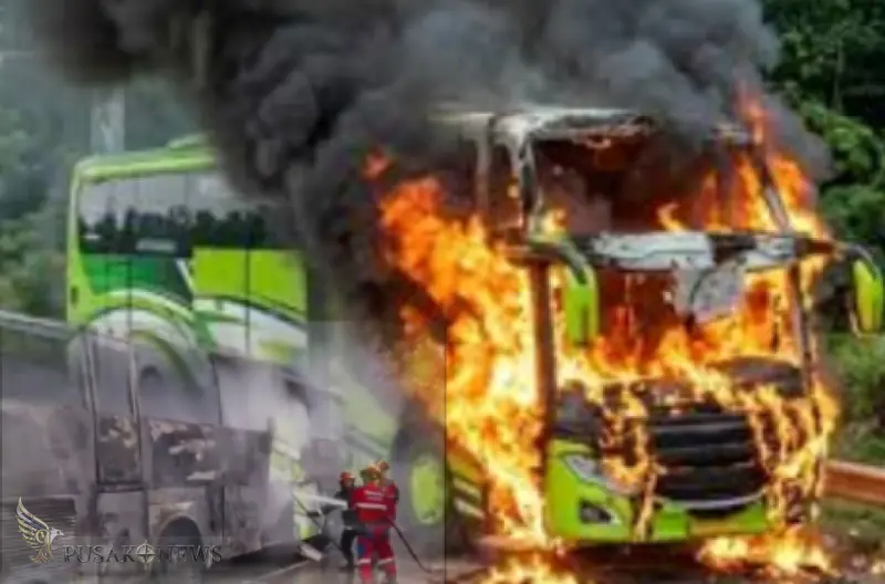 Bus Pariwisata Hangus di Tol Cipali, Beruntung Tak Ada Penumpang
©PusakoNews.com/red