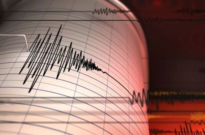 Gempa M7,7 Guncang Flores, Peringatan Tsunami Berakhir, Penanganan Korban dan Kerusakan Terus Dilakukan