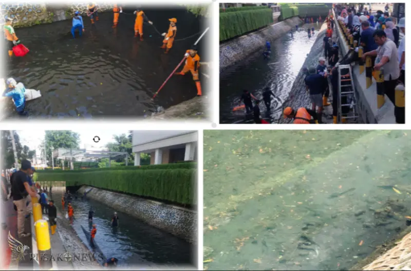 Aktivitas penangkapan ikan sapu-sapu oleh PPSU Gondangdia dan sejumlah petugas gabungan di depan aliran sungai depan mal di kawasan Bundaran HI, Jakarta Pusat, Jumat (10/4/2026)