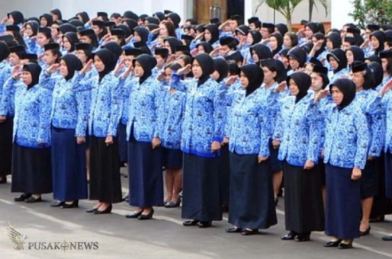 Aparatur Sipil Negara (ASN)
©PusakoNews.com/red