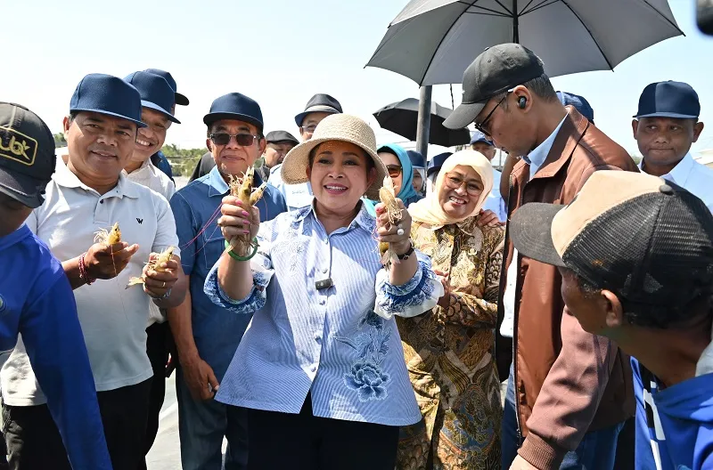 Ketua Komisi IV DPR RI Siti Hediati Soeharto, saat melakukan kunjungan kerja spesifik ke lokasi budidaya udang berbasis kawasan di Kebumen, Sabtu (11/7/2026)