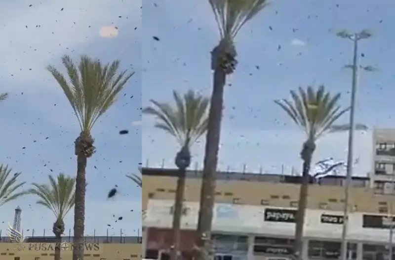 Viral! Kawanan Lebah Serbu Tel Aviv, Dikaitkan dengan Tanda-Tanda di Alkitab