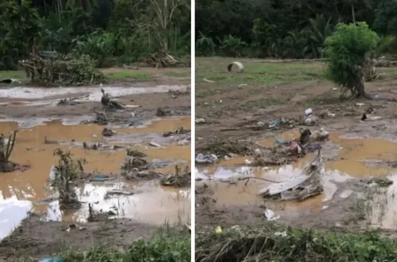 Lahan sawah terdampak banjir